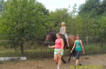 SAM_3258