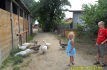Borysew 049